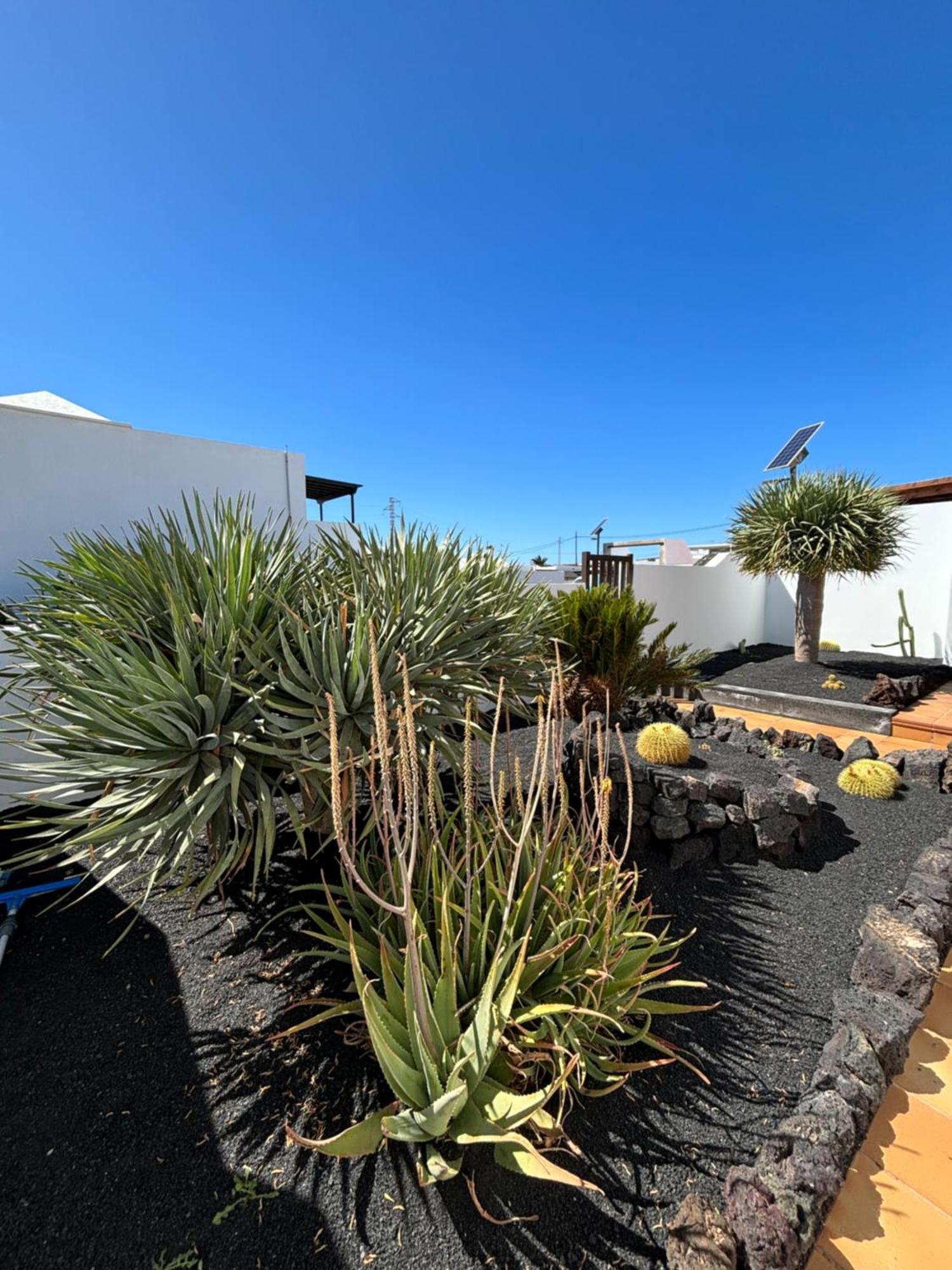 Вилла Rincon Oasis Насарет Экстерьер фото